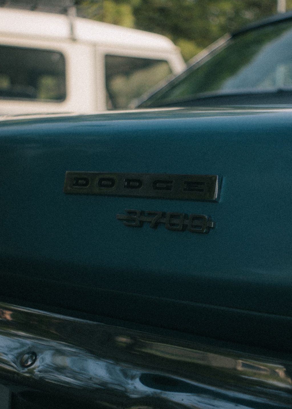 pexels-photo-11876931