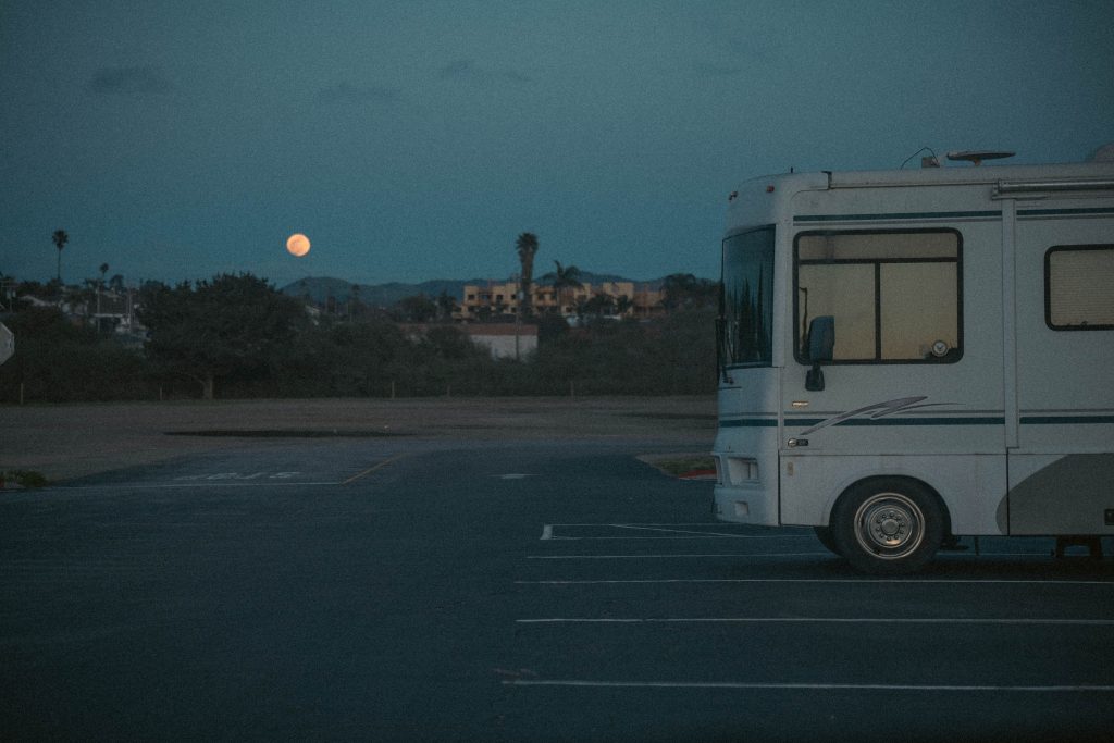 pexels-photo-31150629