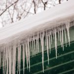Freeze damage: what it costs to fix in spring vs. what it costs to prevent now, and where it hides